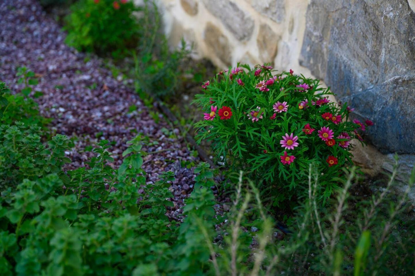Physis Country House Near Matala Beach & Faistos Kouses ภายนอก รูปภาพ